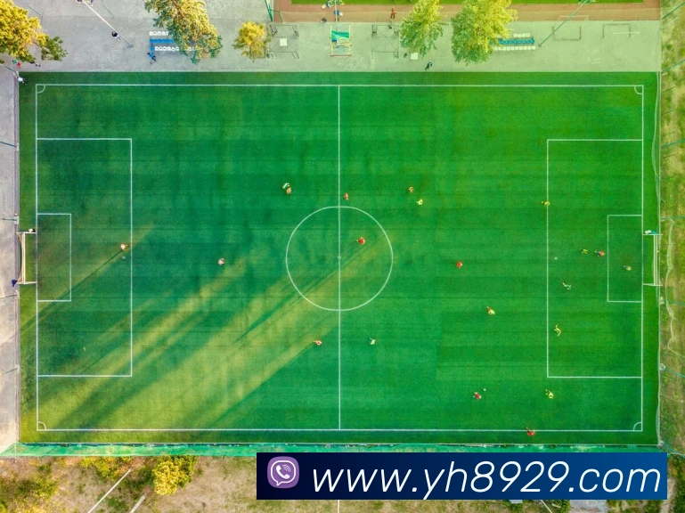 奖项图2